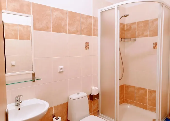 Hotel Lumis Nová Role